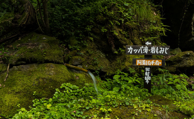 遊水狭